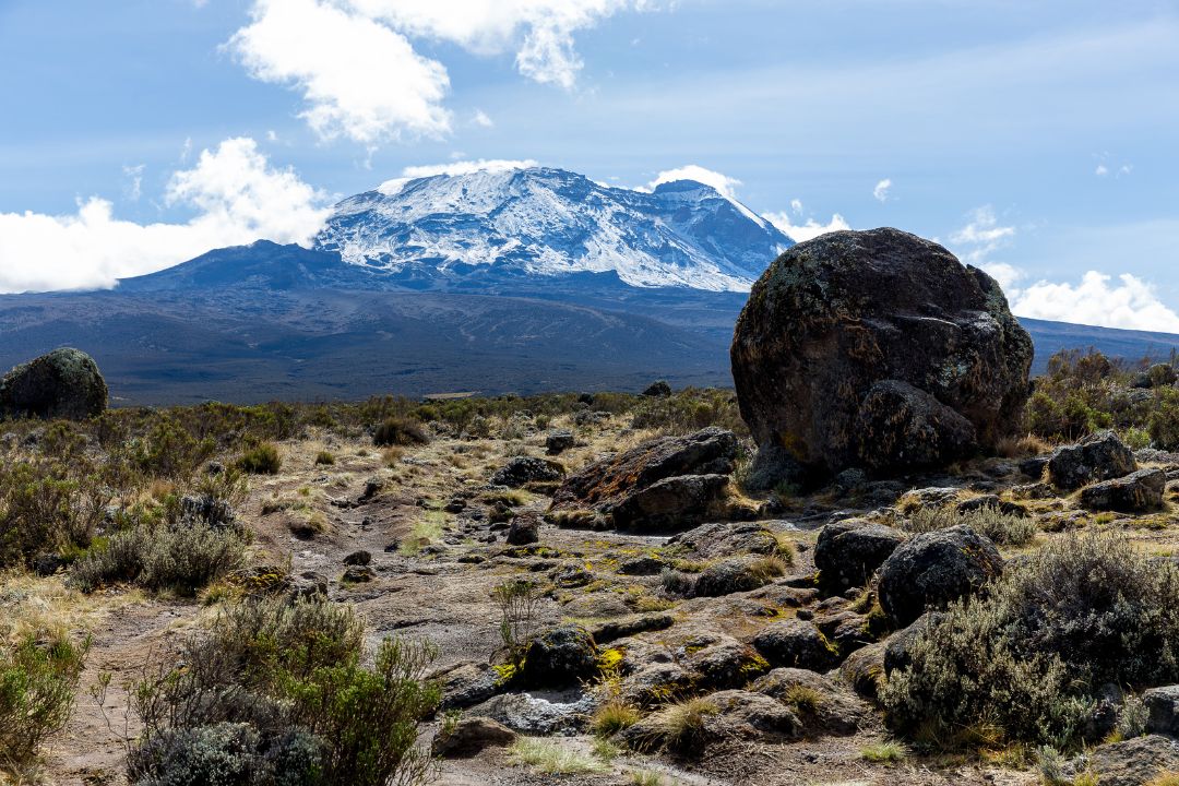 9-Day Northern Circuit Kilimanjaro Trek