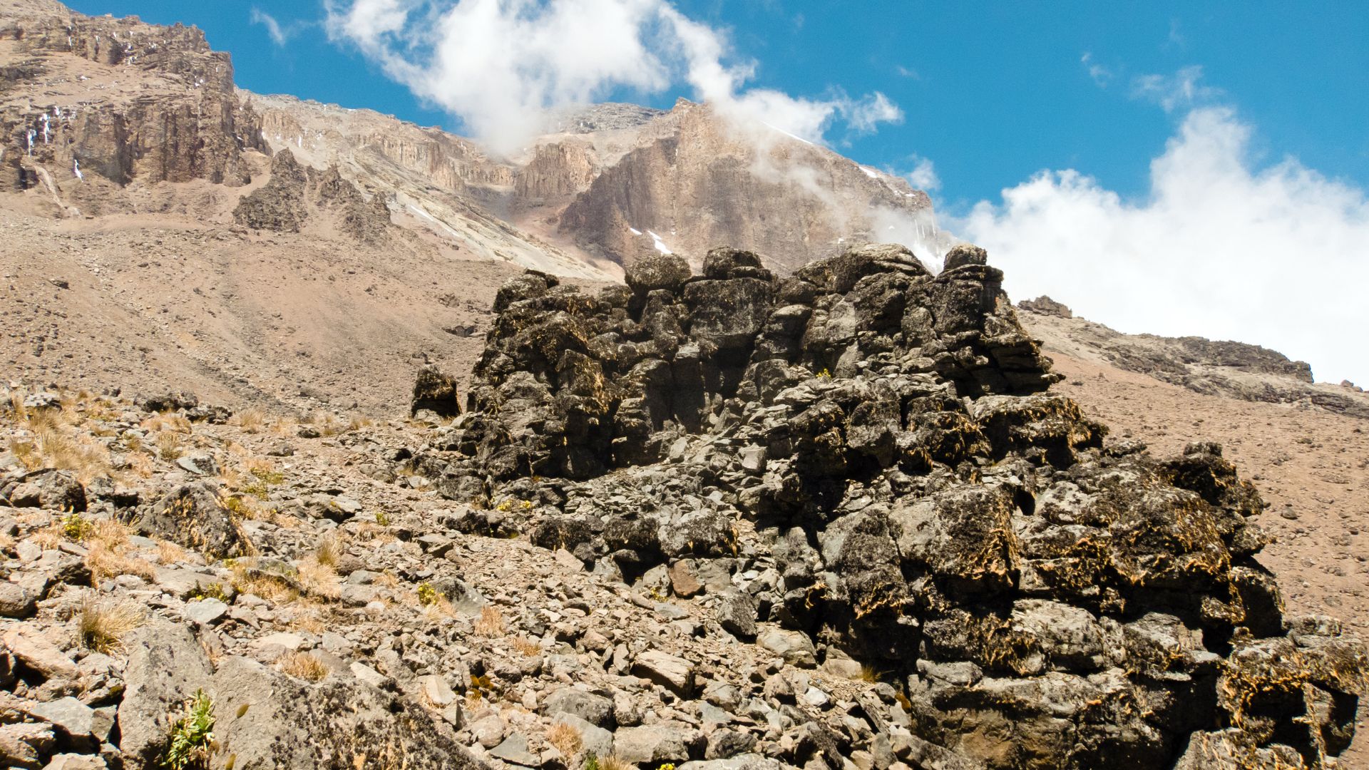7-Day Lemosho Route Kilimanjaro Trek