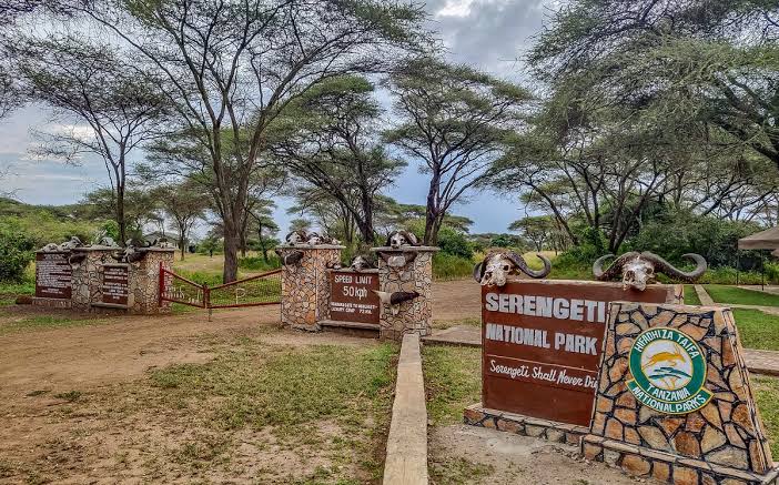 Serengeti National Park Guide: How to Plan the Right Safari