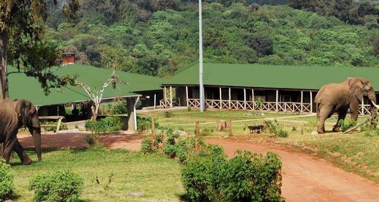 Rhino Lodge Ngorongoro photo