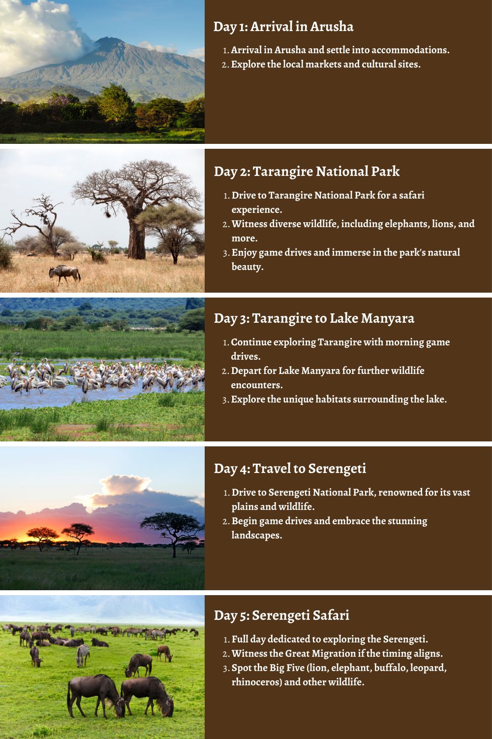 A Balanced 7-Day Tanzania Safari Itinerary for First-Time Visitors