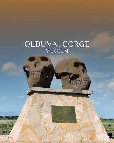 Olduvai Gorge Museum Stop