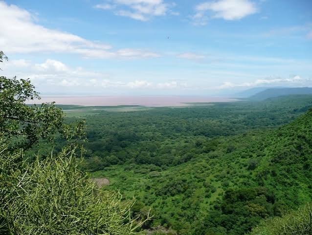 Lake Manyara National Park Guide: Forest, Wetlands and Rift Valley Scenery