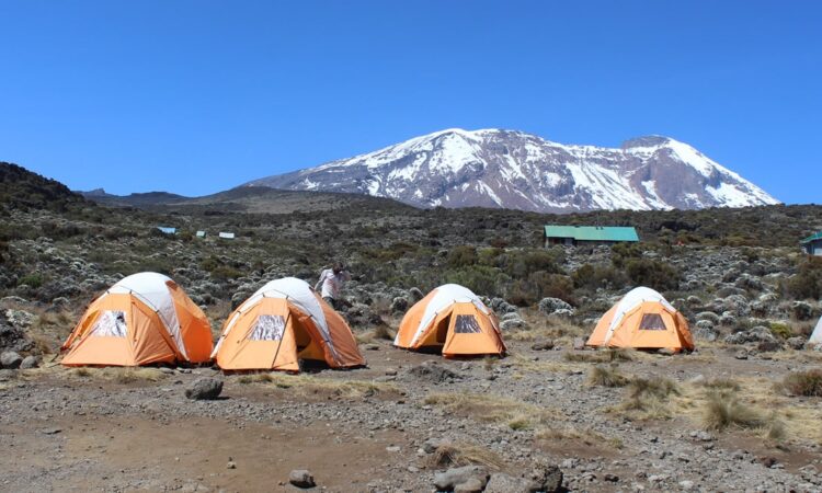 Simba Camp photo