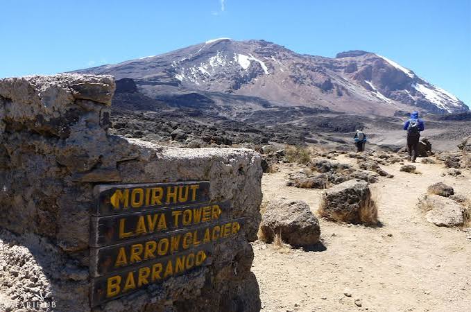 Moir Hut Camp photo
