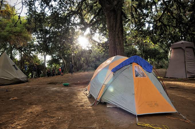 Mti Mkubwa Camp photo